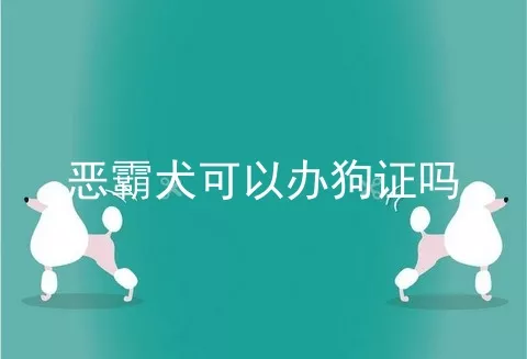 恶霸犬可以办狗证吗