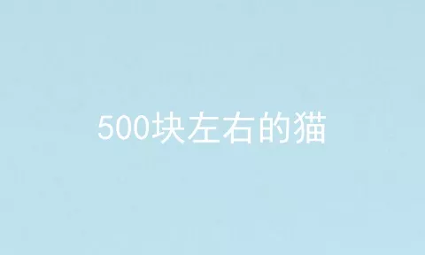 500块左右的猫