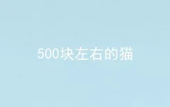 500块左右的猫