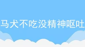 马犬不吃没精神呕吐