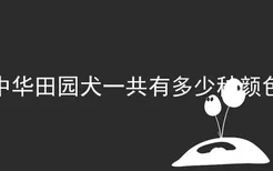 中华田园犬一共有多少种颜色