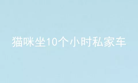 猫咪坐10个小时私家车