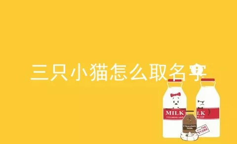 三只小猫怎么取名字