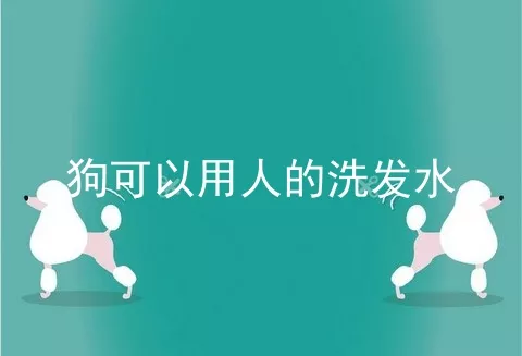 狗可以用人的洗发水