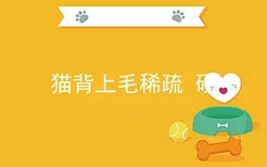 猫背上毛稀疏 硬