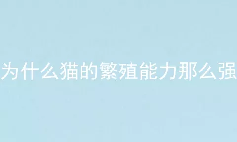 为什么猫的繁殖能力那么强