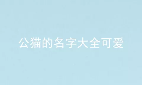 公猫的名字大全可爱