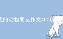 我的动物朋友作文400以上猫