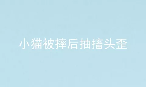 小猫被摔后抽搐头歪