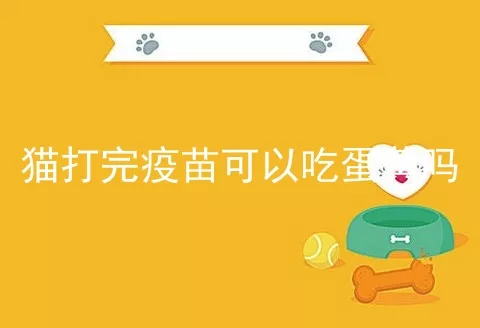 猫打完疫苗可以吃蛋黄吗