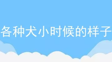 各种犬小时候的样子