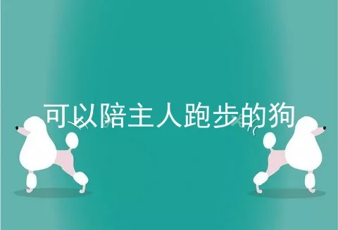 可以陪主人跑步的狗