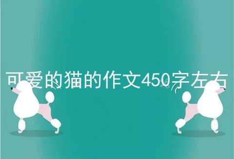 可爱的猫的作文450字左右