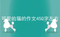 可爱的猫的作文450字左右