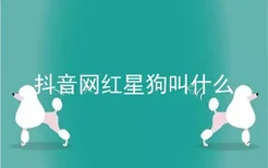 抖音网红星狗叫什么