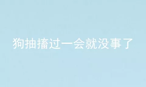 狗抽搐过一会就没事了