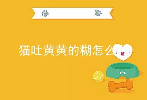 猫吐黄黄的糊怎么办