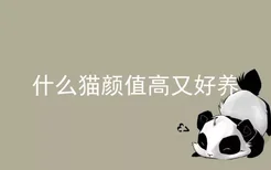 什么猫颜值高又好养