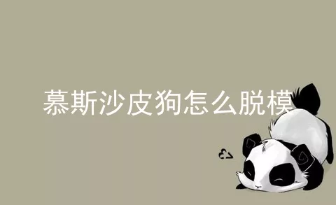 慕斯沙皮狗怎么脱模