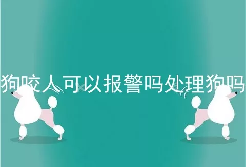 狗咬人可以报警吗处理狗吗