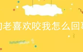 狗老喜欢咬我怎么回事