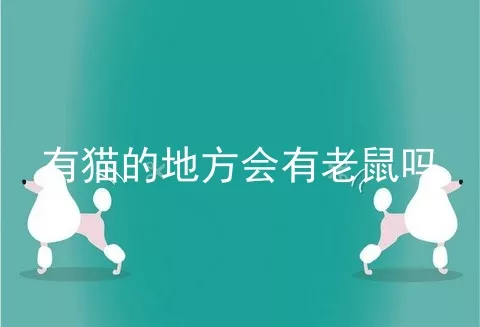 有猫的地方会有老鼠吗