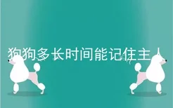 狗狗多长时间能记住主人