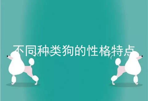 不同种类狗的性格特点