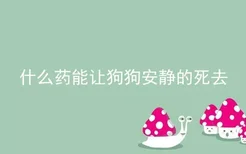 什么药能让狗狗安静的死去