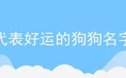 代表好运的狗狗名字