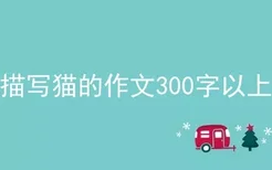 描写猫的作文300字以上