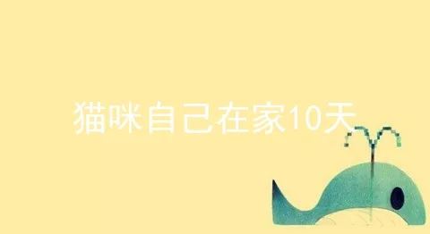 猫咪自己在家10天