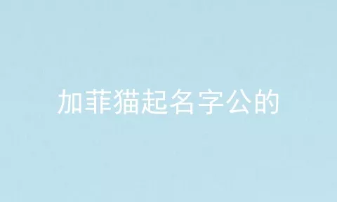 加菲猫起名字公的