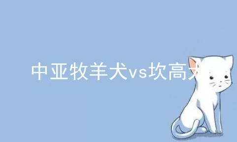 中亚牧羊犬vs坎高犬