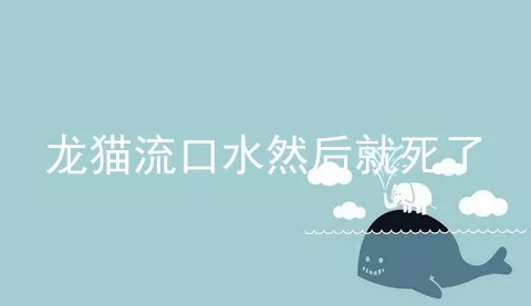 龙猫流口水然后就死了