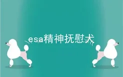 esa精神抚慰犬