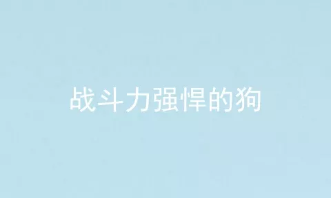 战斗力强悍的狗