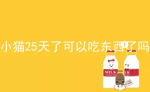 小猫25天了可以吃东西了吗