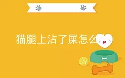 猫腿上沾了屎怎么办