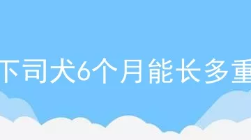 下司犬6个月能长多重