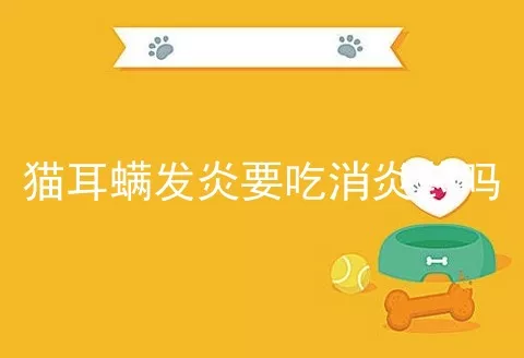 猫耳螨发炎要吃消炎药吗