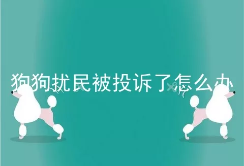 狗狗扰民被投诉了怎么办