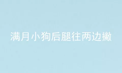 满月小狗后腿往两边撇