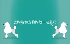 土狗能和宠物狗放一起养吗