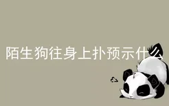 陌生狗往身上扑预示什么