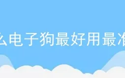 什么电子狗最好用最准确