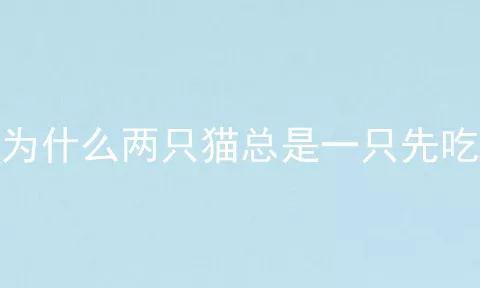 为什么两只猫总是一只先吃