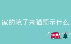 家的院子来猫预示什么