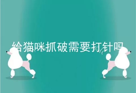 给猫咪抓破需要打针吗