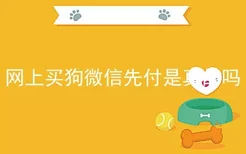 网上买狗微信先付是真的吗